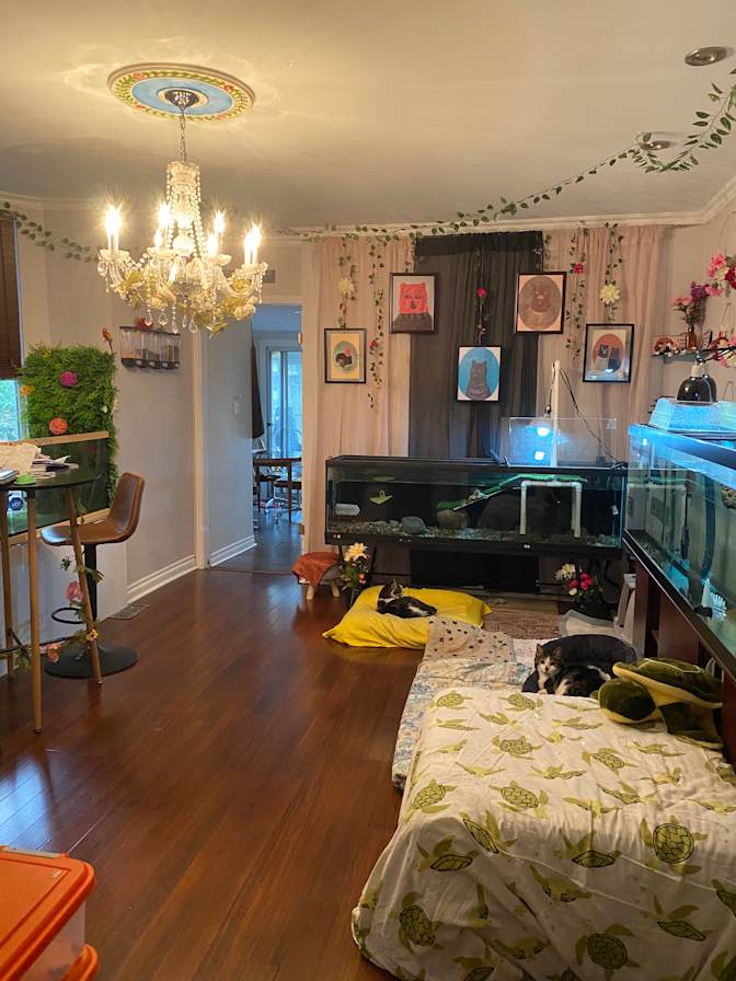 Solange's room