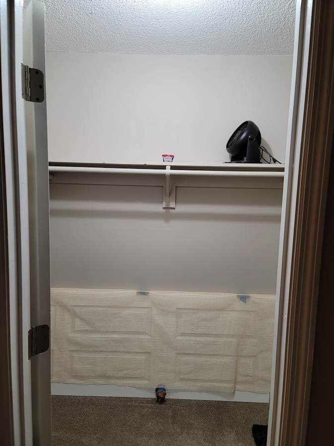 Austin's room