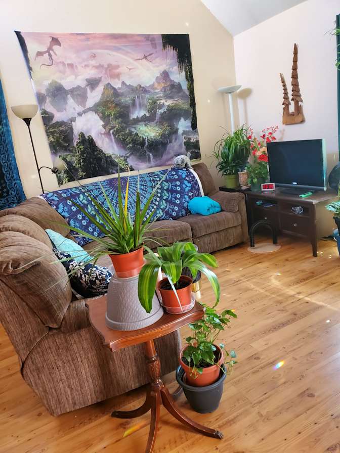 Cindi's room