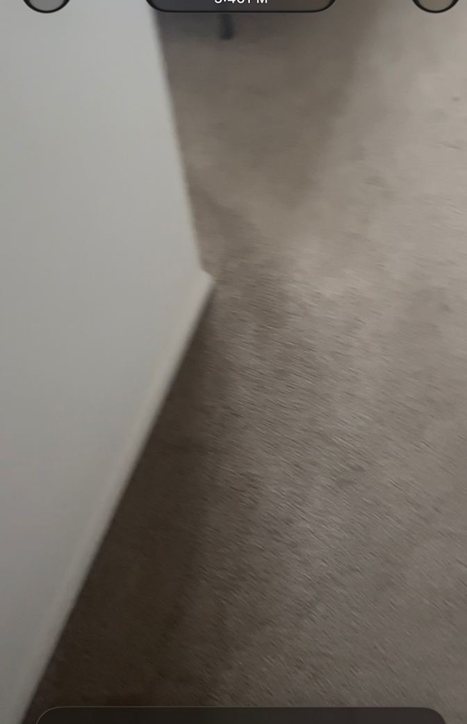 Nina's room