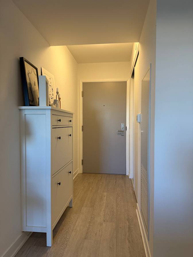Mozh's room