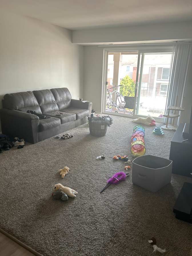 Nicole's room