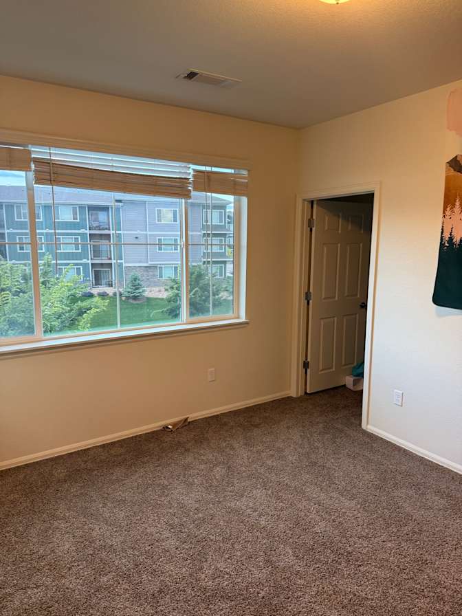 Dillon's room