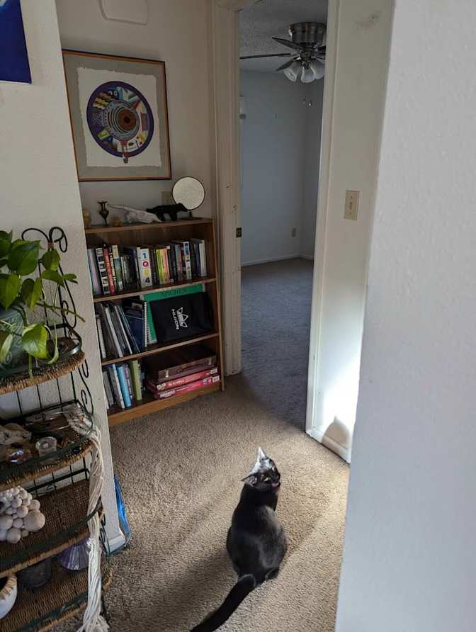 Annalise's room