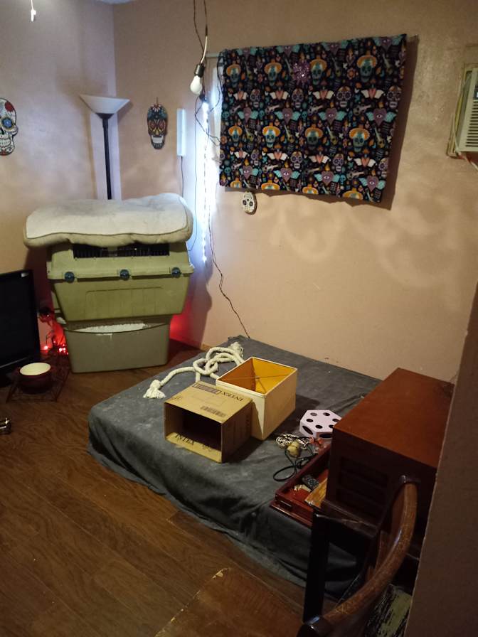 Dallas Chevalier's room