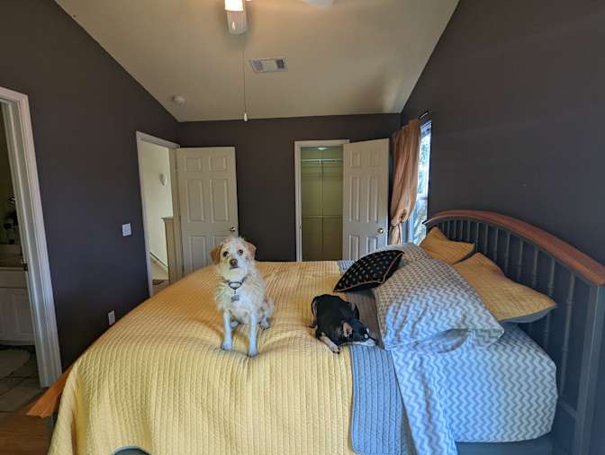 Scott's room