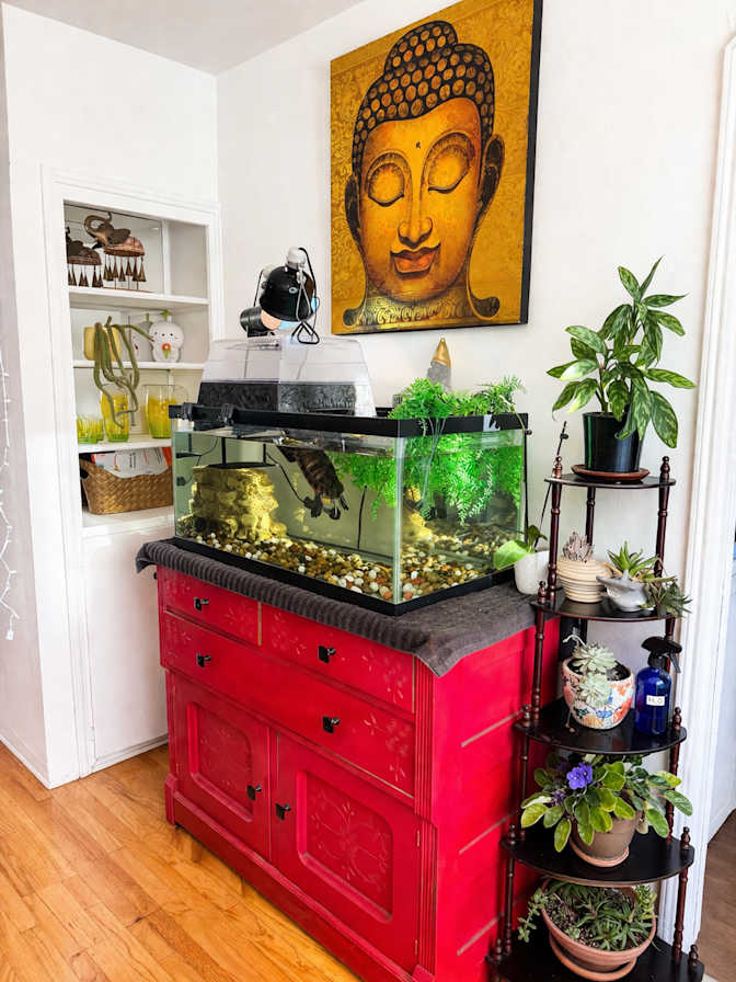 Abby's room