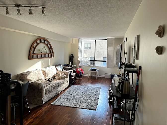 Hanneke de Roo's room