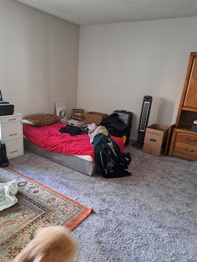 Lucia's room