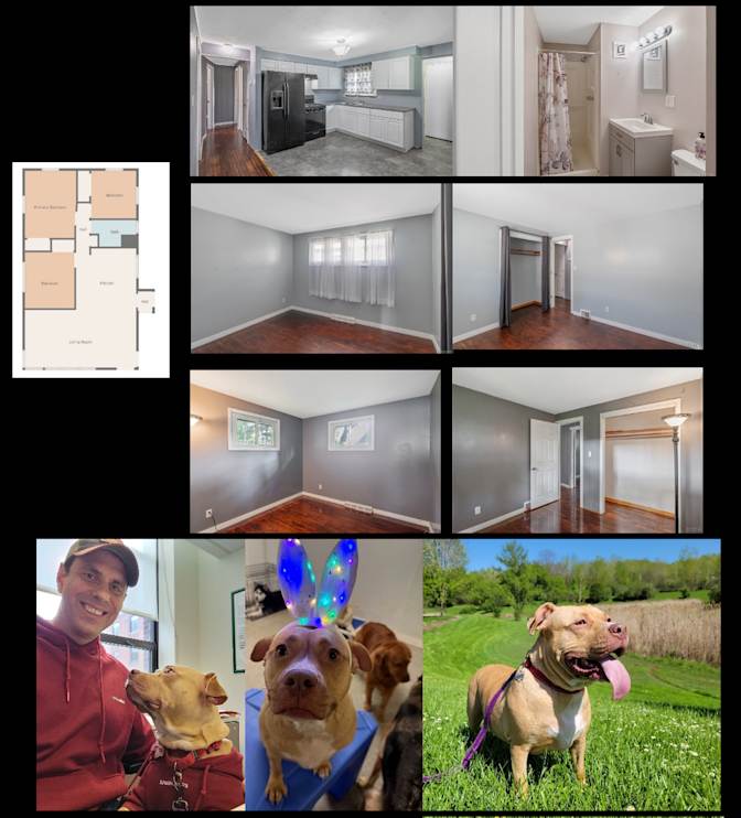 James's room