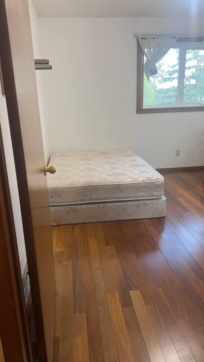 Lily's room