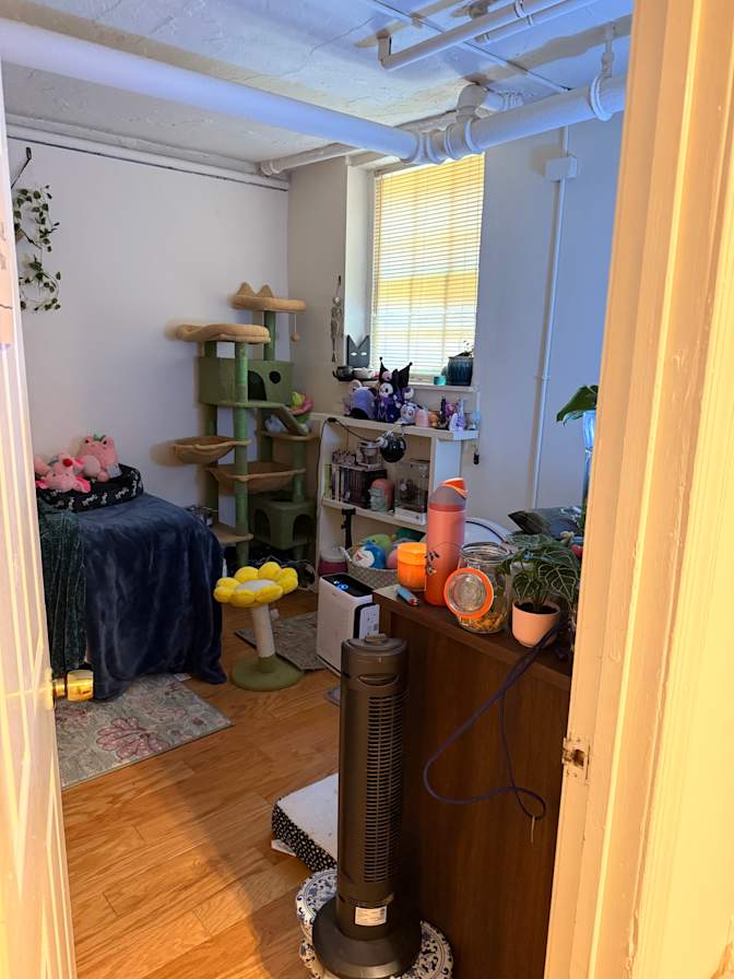 Tiana's room
