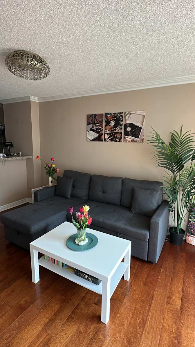 Neelika Chakrabarti's room