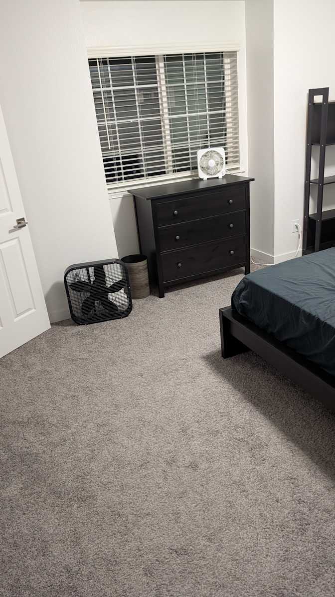 Daniel's room
