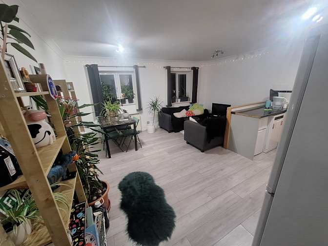 Shaan Randhawa's room