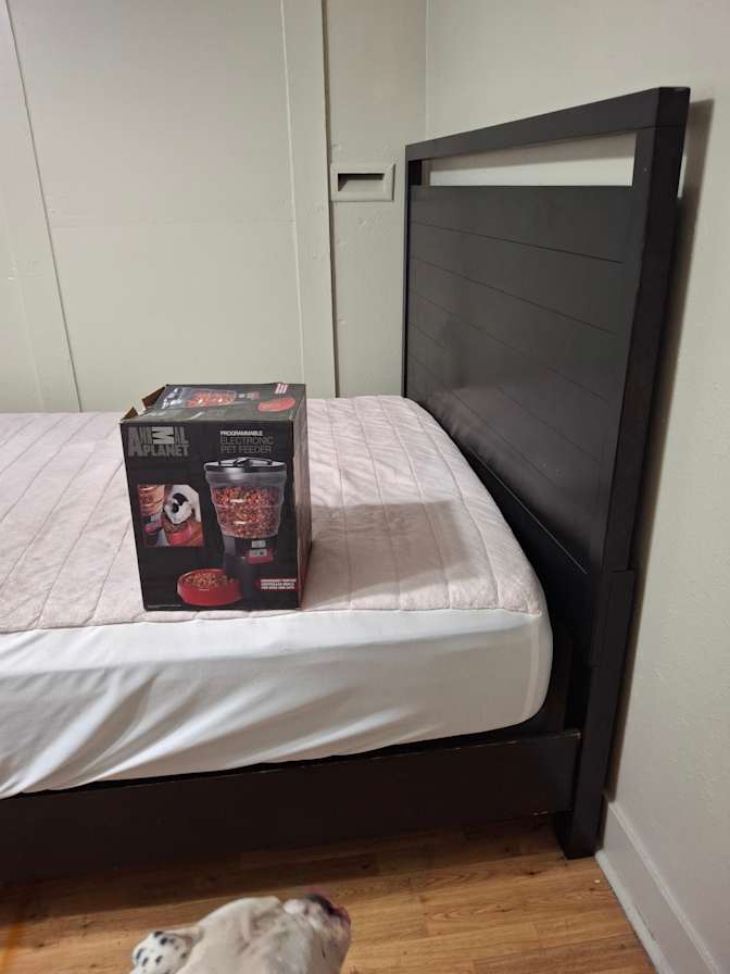 Melissa's room