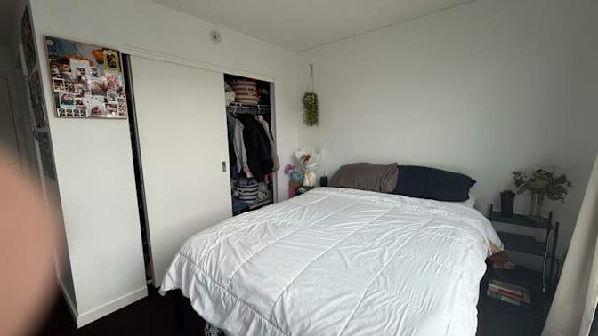 Cat's room