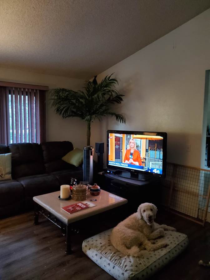 Paula's room