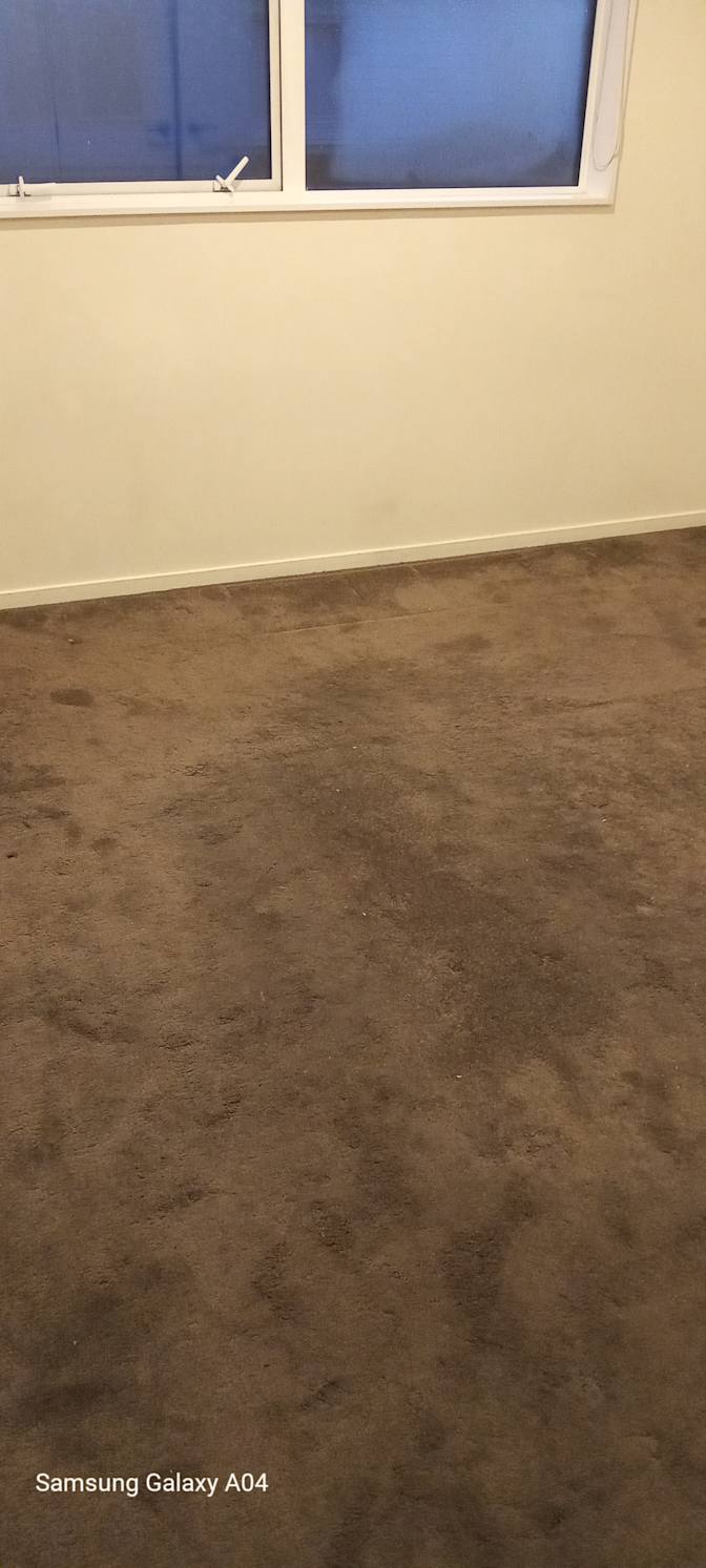 Tania's room