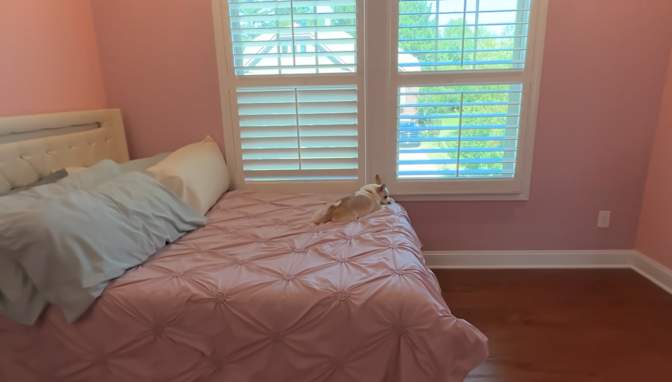 Joe's room