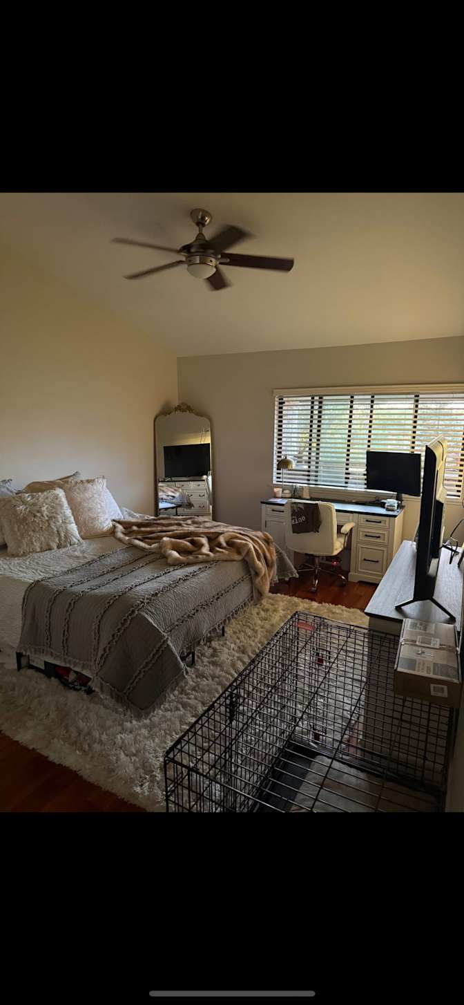 Desiree's room