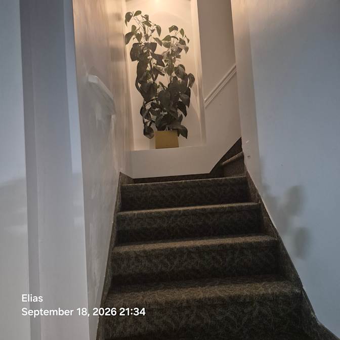 Elvis's room