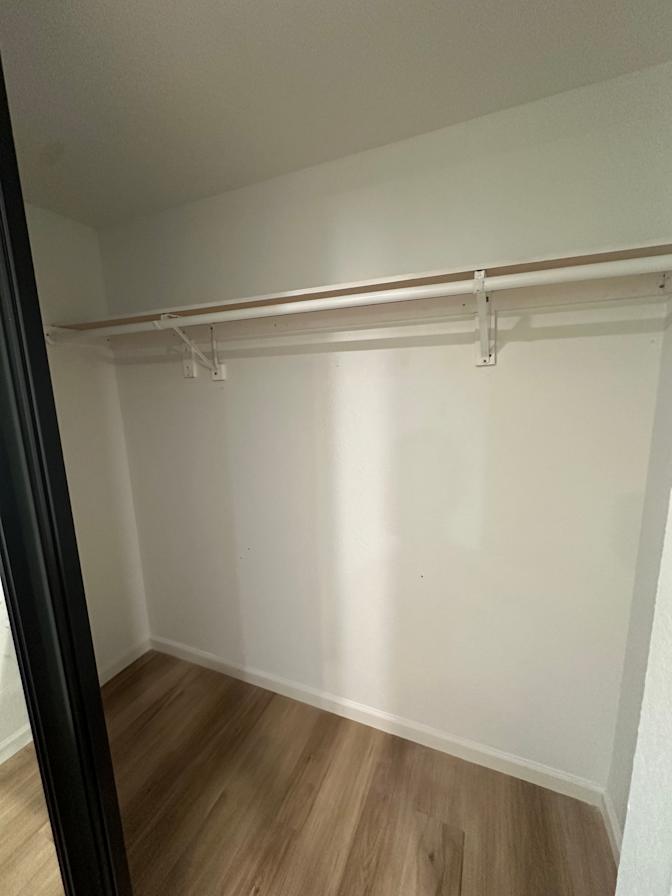 Shaun's room