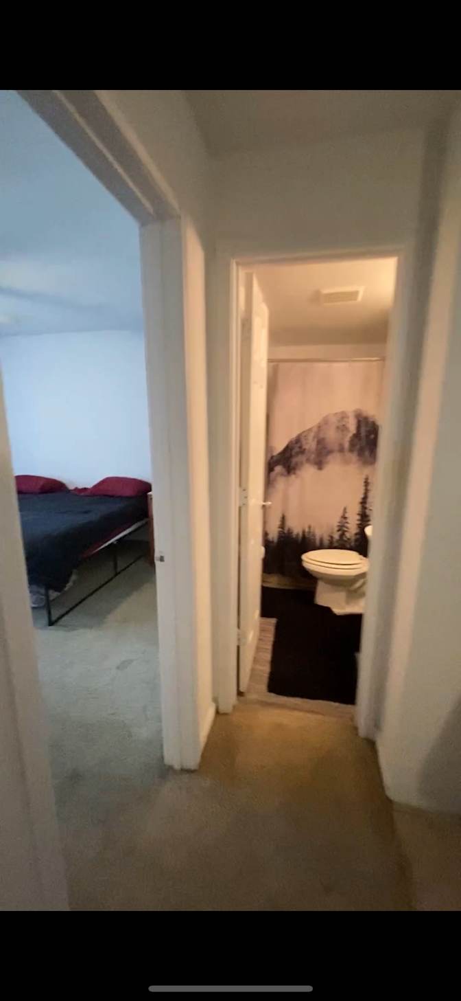 Nicolas Parra's room