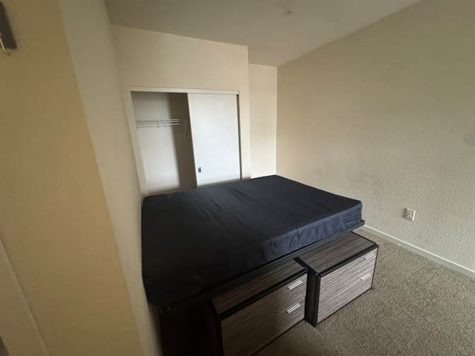 Trace Hasz's room