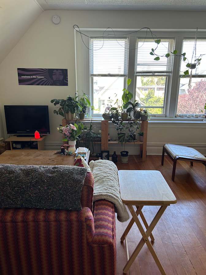 Janine's room