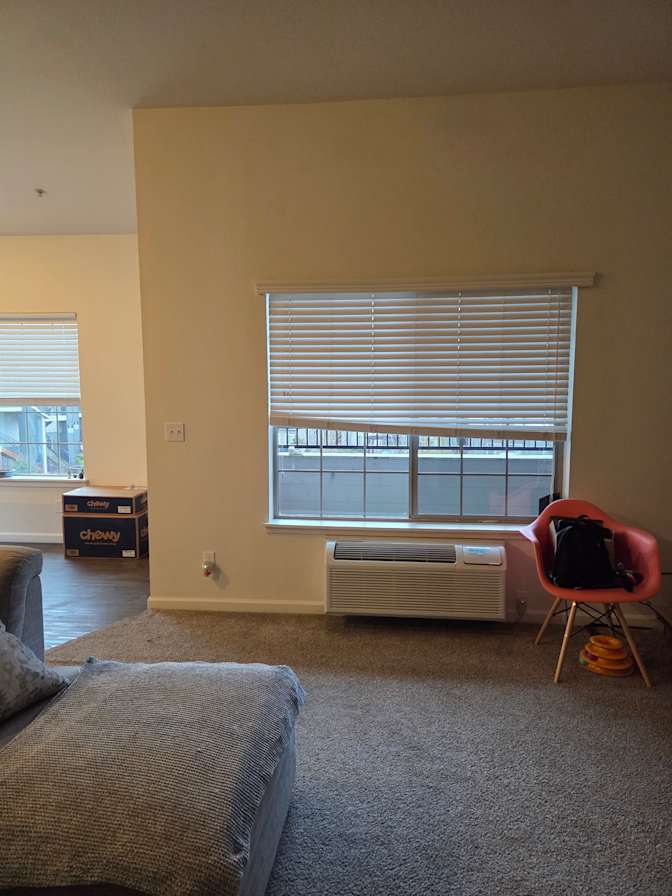 Ocean's room