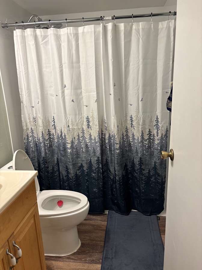 Sophie's room