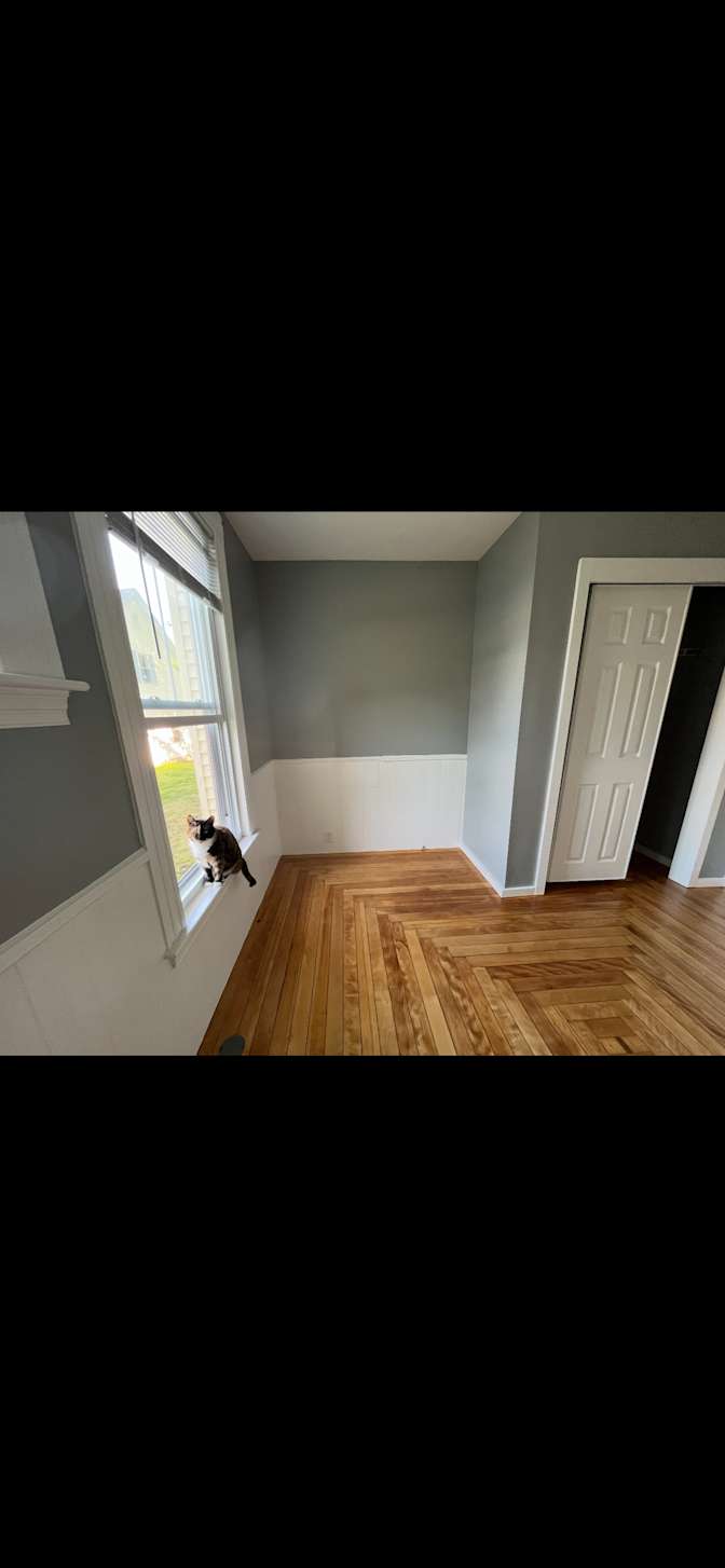 halee's room