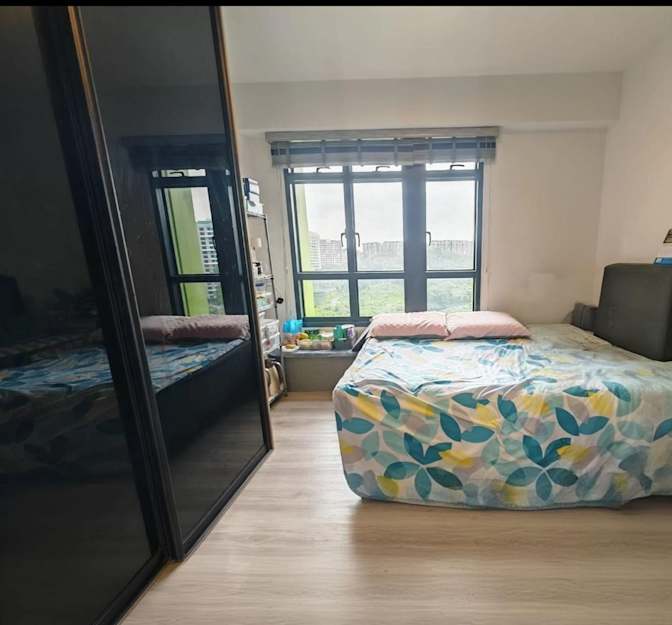 adaighy's room
