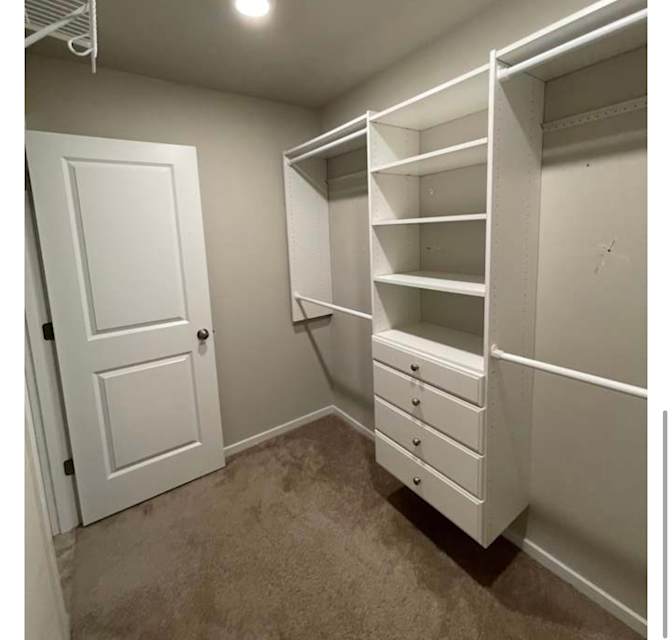 Tara's room