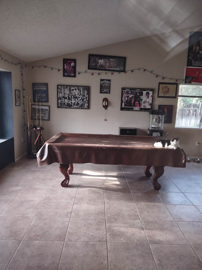 Brenda's room
