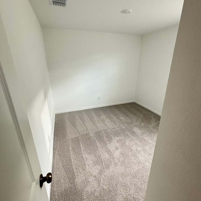 Cat's room
