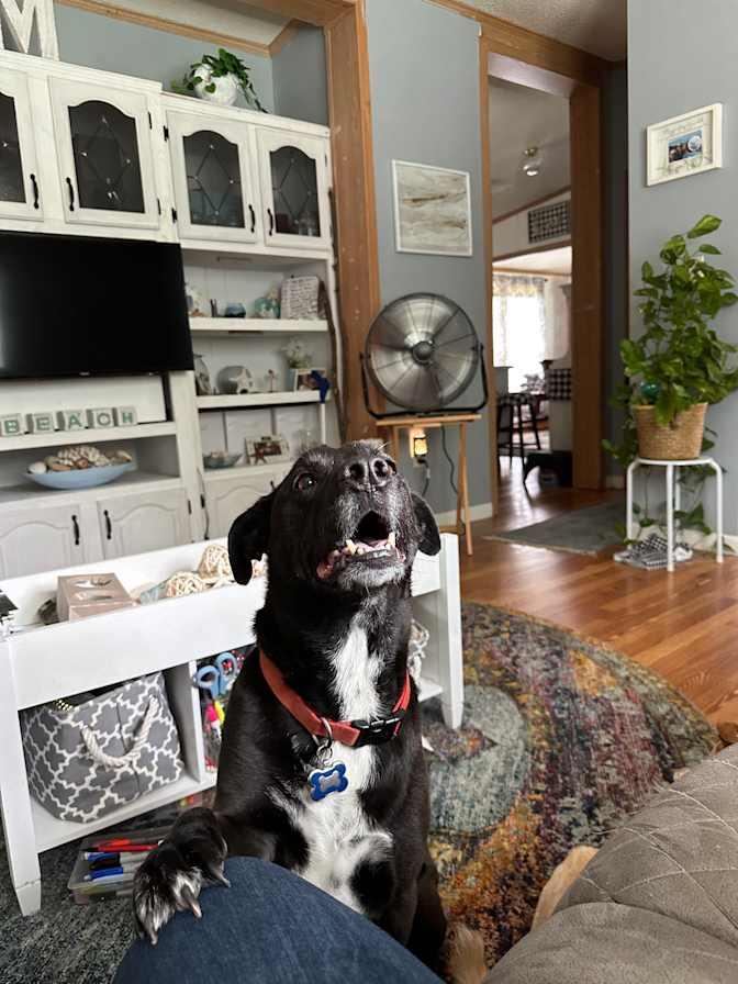 Maureen Evans's room