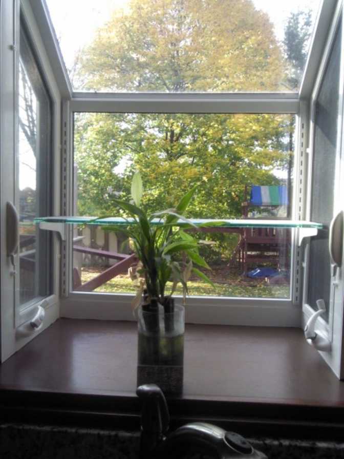 Jerry's room