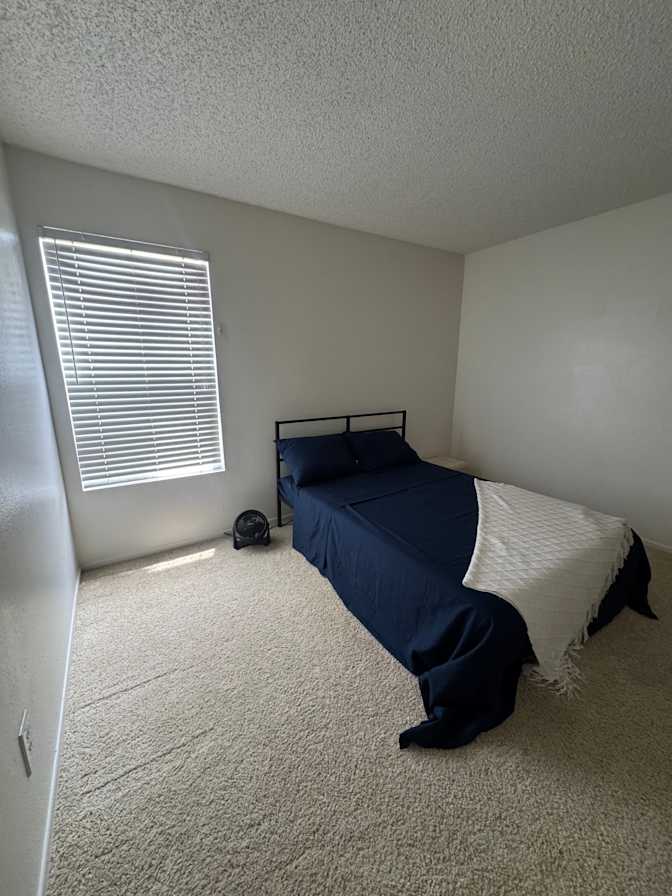 Brenda's room