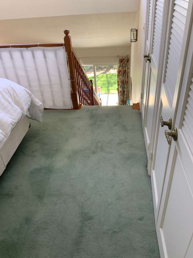 Stephen Currie's room
