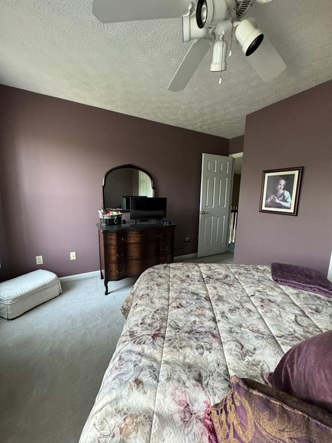 WFH professional's room
