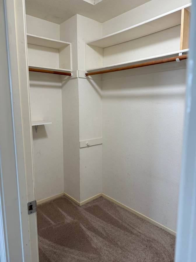 Alondra McConnell's room