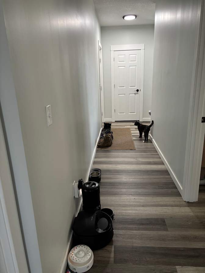 Andrew Dedon's room