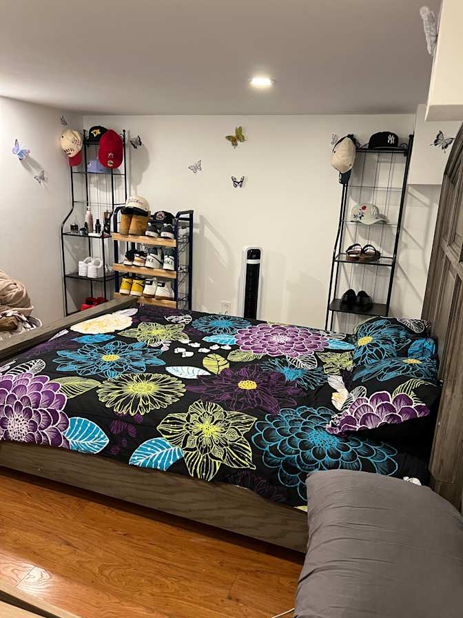 Marisela loncaric's room