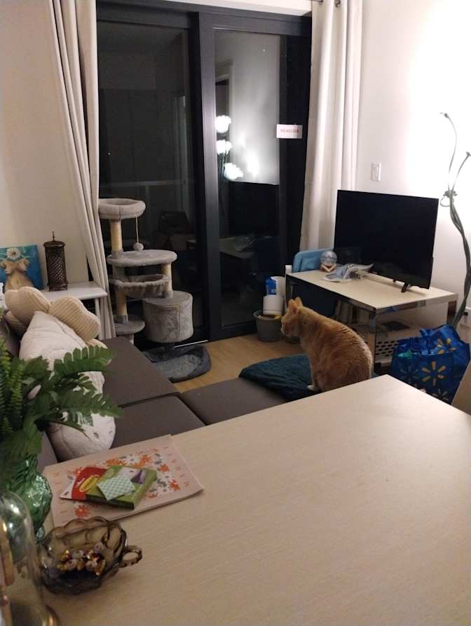 Veronica's room