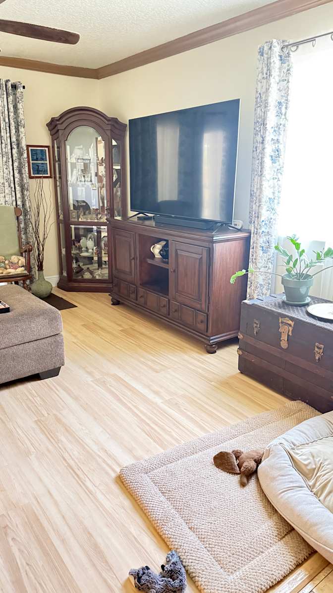 Jayne's room