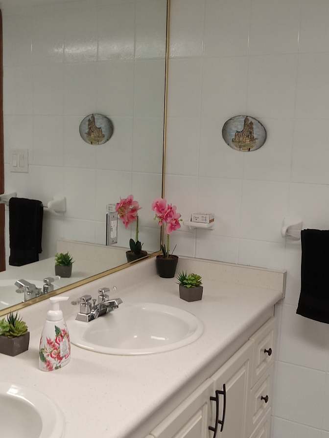 Large in house Basement Apartment shared only with a quite clean early thirties male professional's room