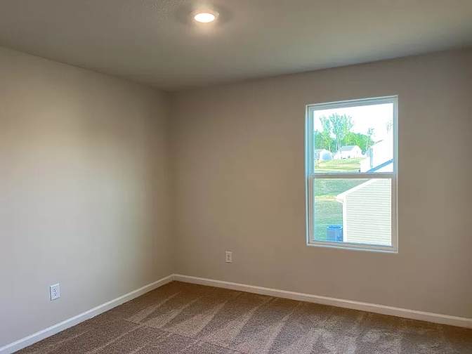 Alcove Rooms's room