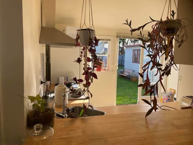 Hamish's room